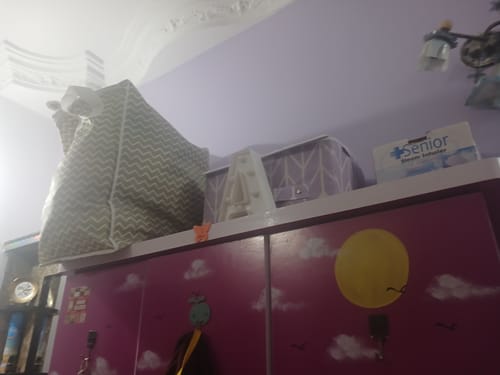 Customer photo review of Storage Box with Lid Pack of two - Lilac (Available in 2 colors)