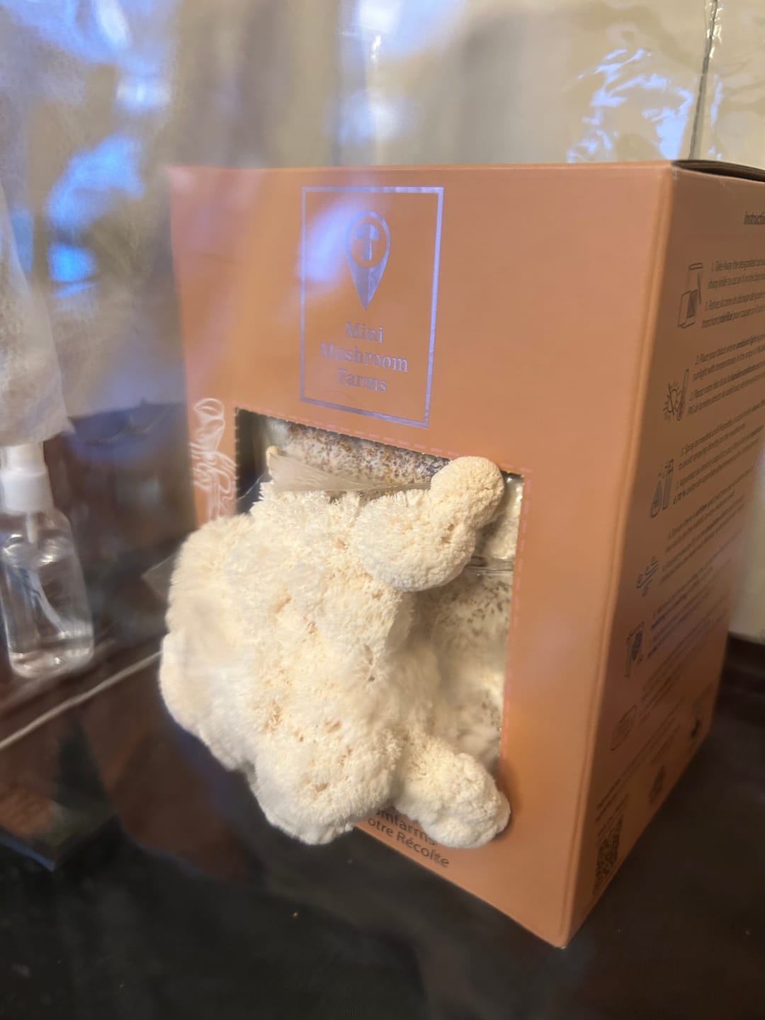 Customer photo review of Essentials Bundle Gift Set + Grow Kit