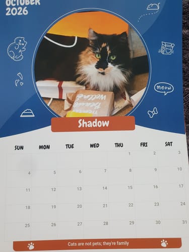 Customer photo review of Official Pupvote Cutest Pets of the Year Calendar (2026)