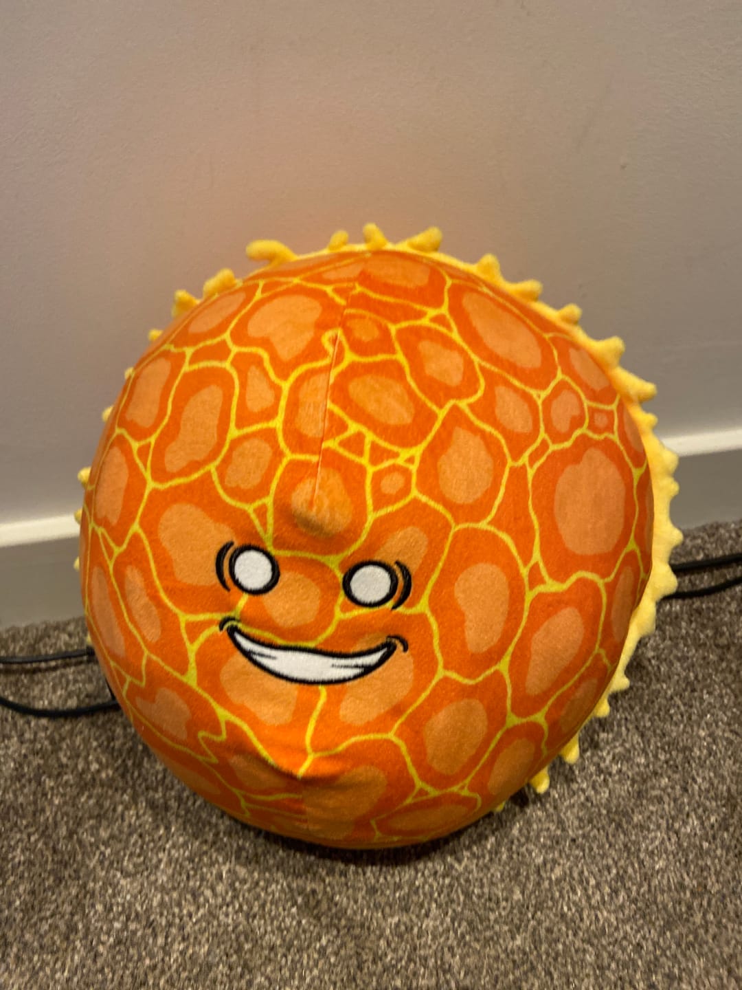 Customer photo review of The SolarBalls Sun Plush