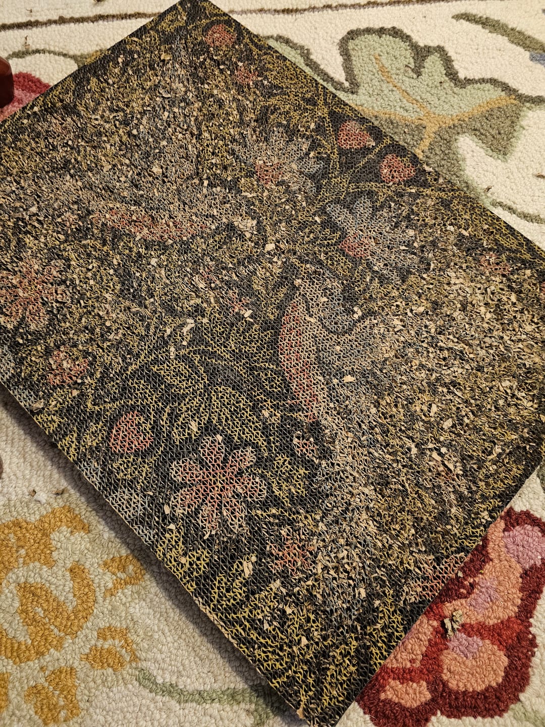Customer photo review of Strawberry Vine - Luxury Cat Scratching Board