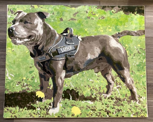 Customer photo review of Custom Pet Paint By Numbers
