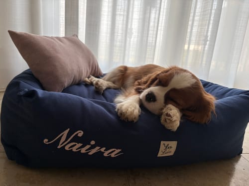 Customer photo review of Divanetto in Tessuto Dralon Royal Blu