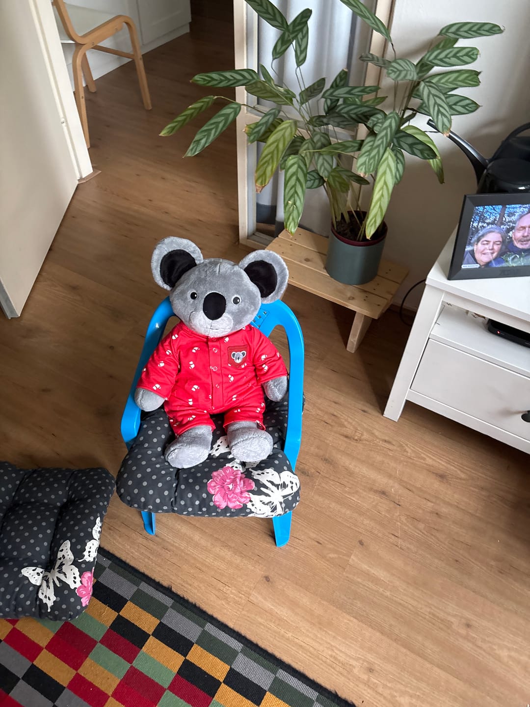 Customer photo review of Koala Kerstkleding Lotgenootje