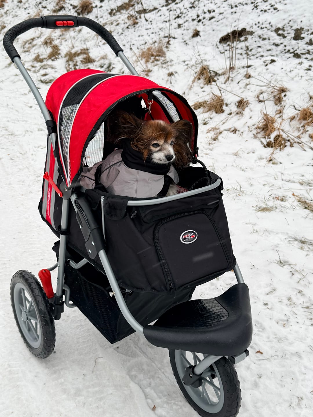 Customer photo review of Comfort EFA ECO lemmikkirattaat