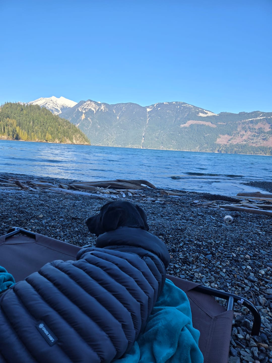 Customer photo review of PuffShield Winter Jacket - Black