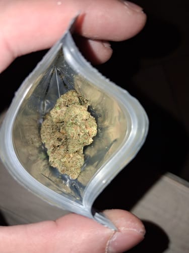 Customer holding open a small clear bag to show a dense, green bud of CALI SUPREME THCA Flower.