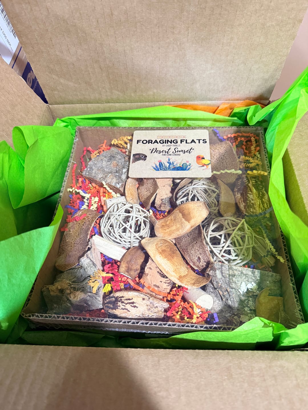 Customer photo review of "BYOT" Foraging Flats by Cheep Thrills