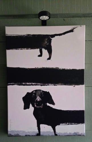 Customer photo review of SAUSAGE DOG CANVAS