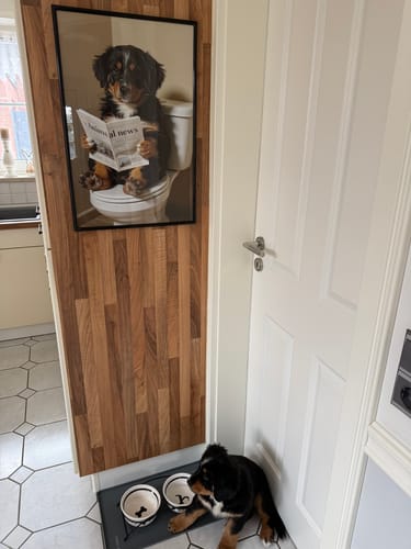 Ein Rezensent zeigt das personalisierte KI-Poster seines Welpen an der Wand, während der echte Hund darunter auf dem Boden liegt.