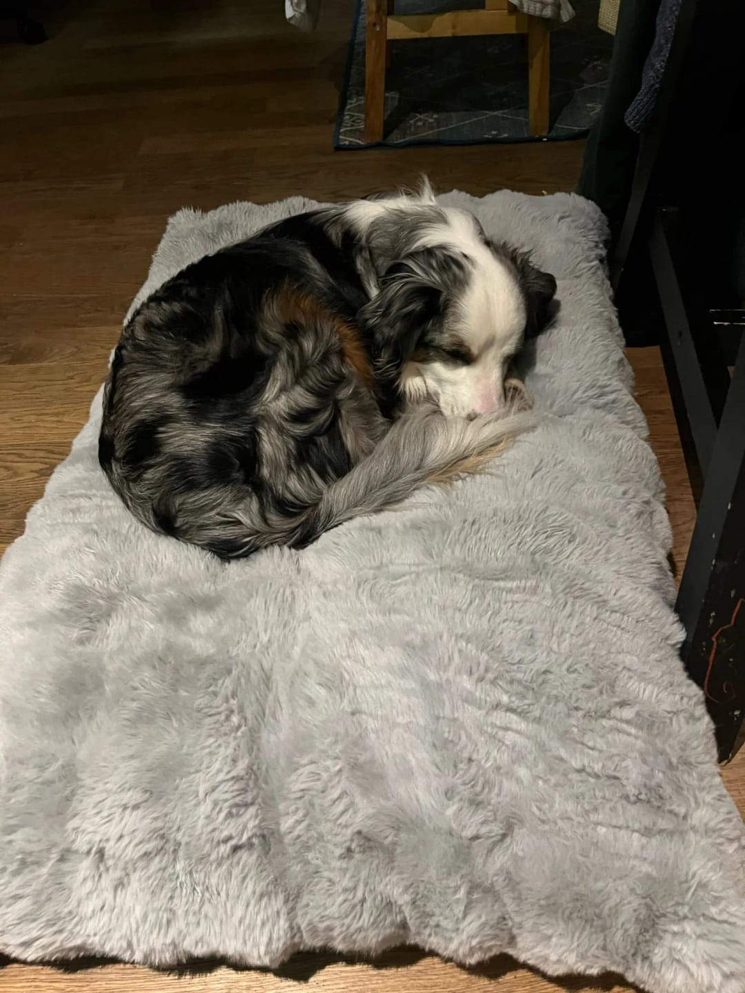 CloudRest customer review photo