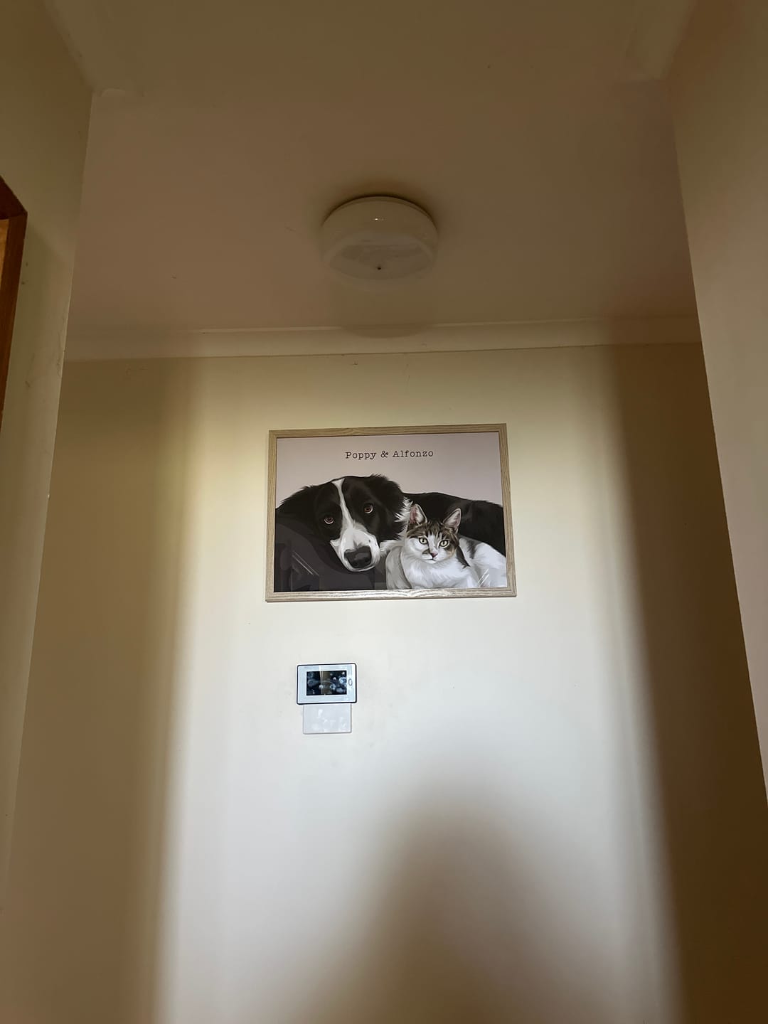 Customer photo review of Reprint Service (Existing Artwork)