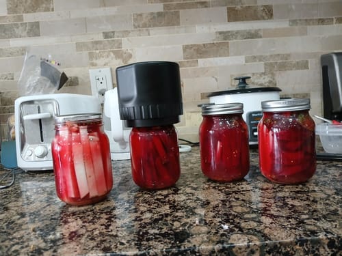 Customer using the black Mason Genie Vacuum Sealer on a jar of pickled vegetables on a kitchen counter, with several other jars nearby.