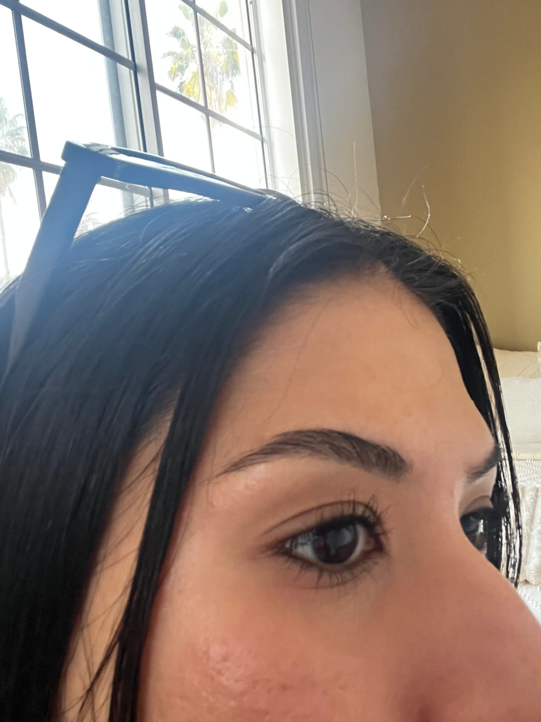 Customer photo review of HOLD UP! Flexible Brow Wax + Multitasker Brush