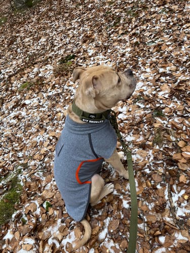 Customer photo review of Extreme Air Set  Army Green - Lätt och slitstarkt hundset