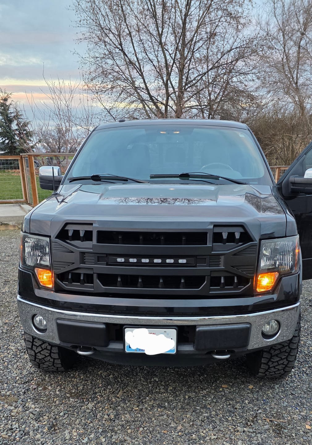 Customer photo review of Armor Grille W/ Off Road Lights For 2009-2014 Ford F150