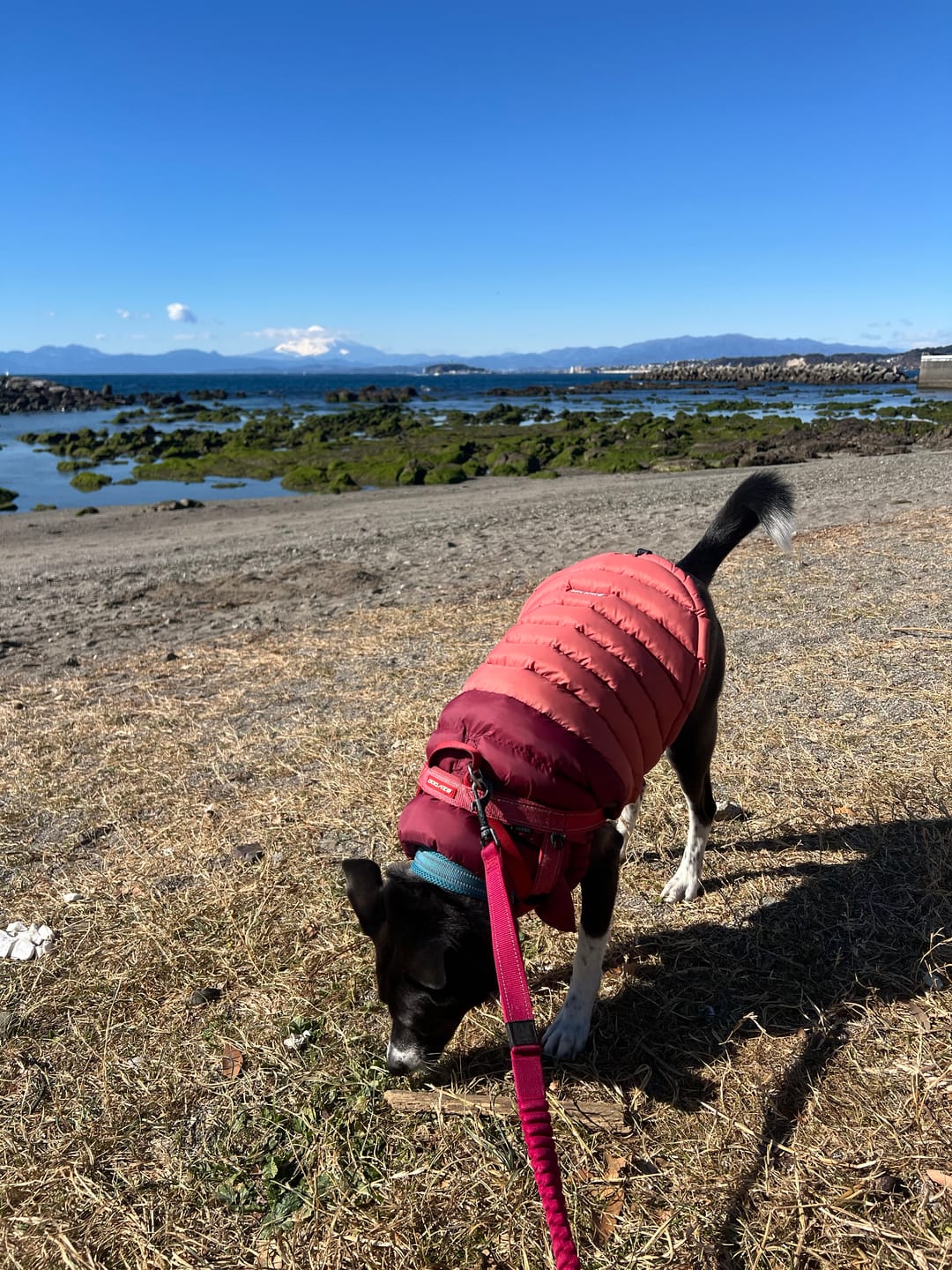 Customer photo review of PuffShield Winter Jacket - Red
