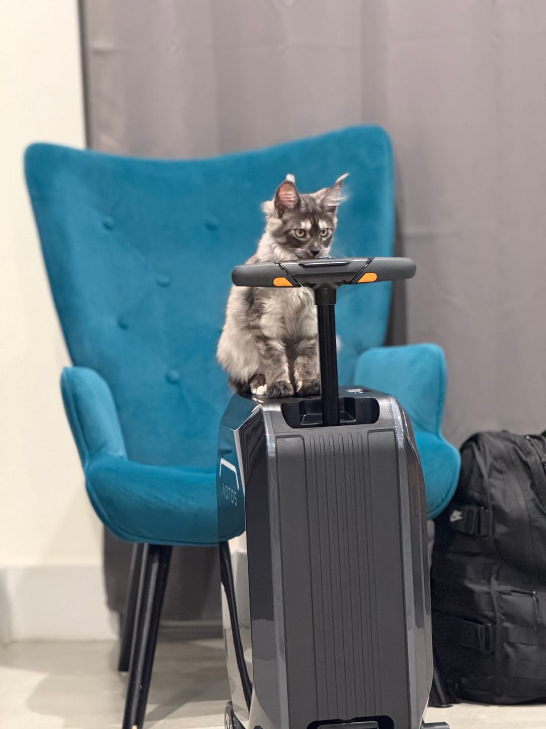 Customer photo review of AOTOS L2 - CES Auto-Discount $100 Off