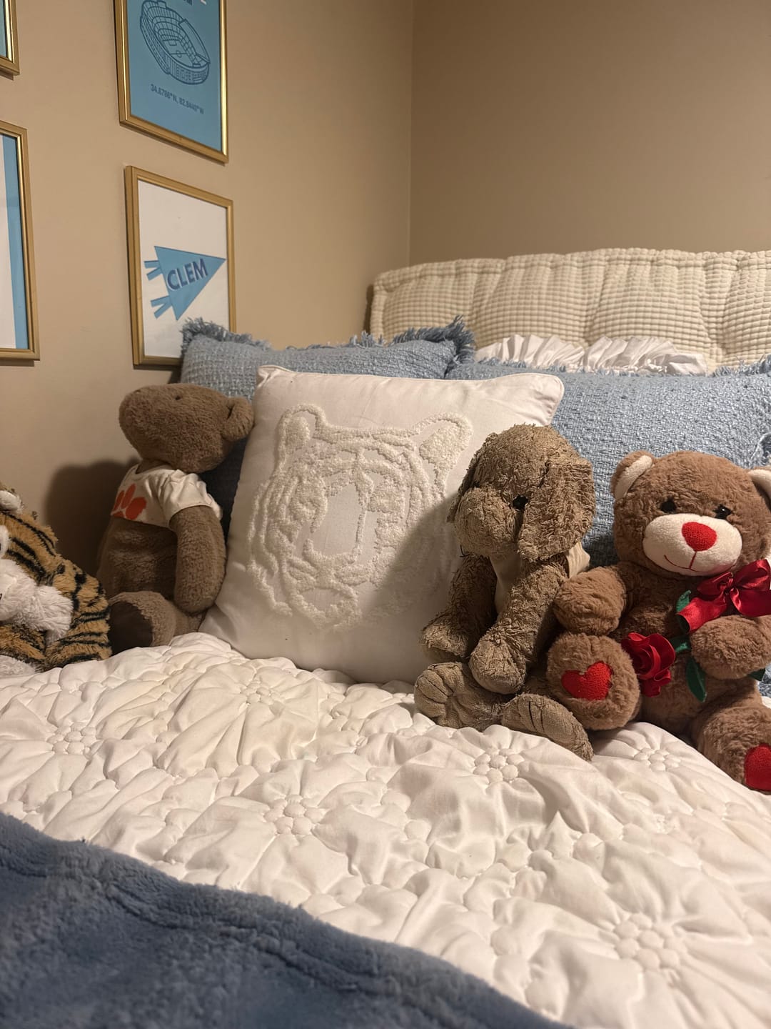 Customer photo review of Tiger Embroidered Pillow
