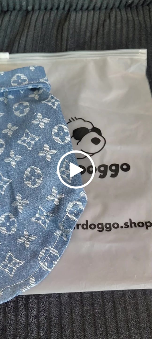 Customer video review of Big Dog & Cat LV Endless Summer Shirt