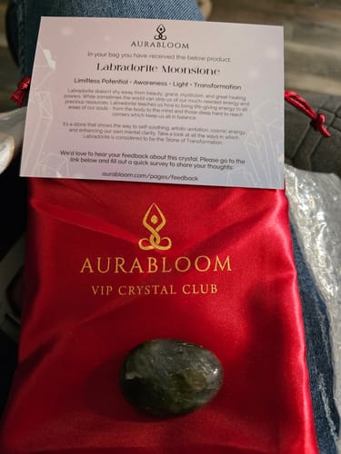 Customer's dark, shiny Labradorite Moonstone from the VIP Crystal Club, shown with its red pouch and info card.