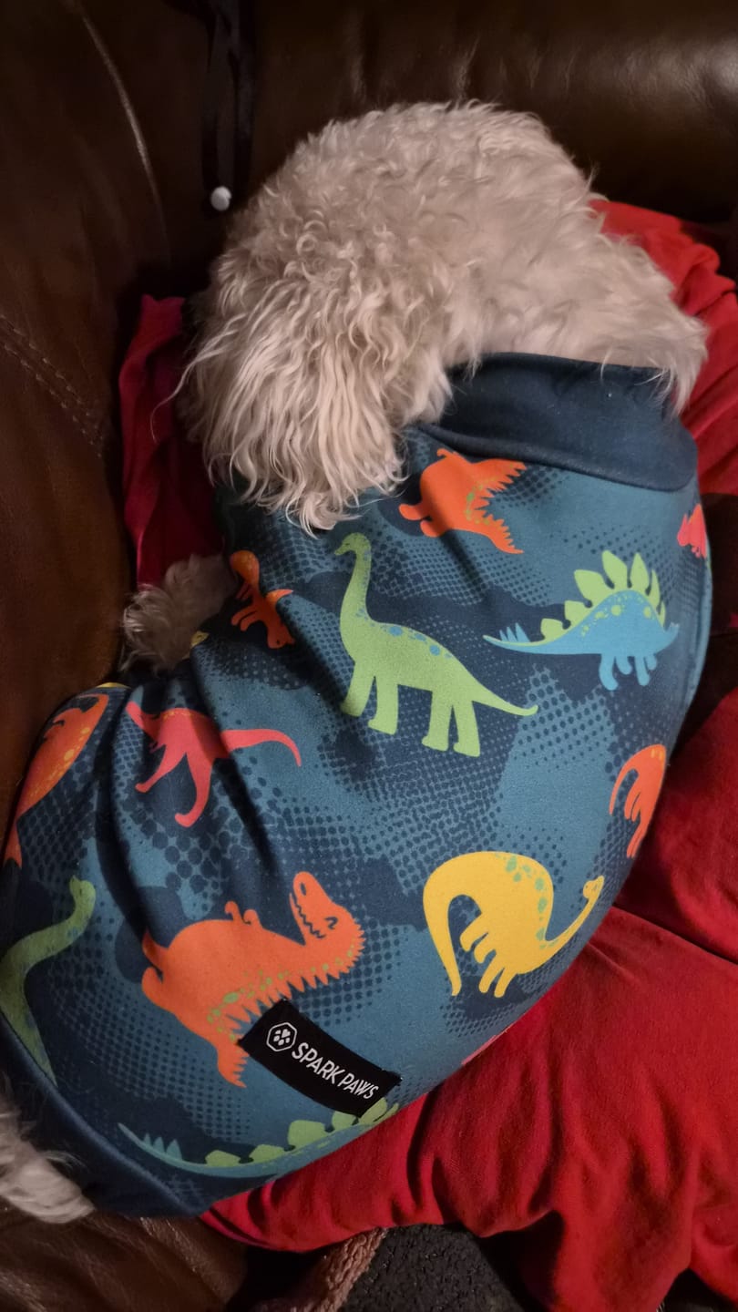 Customer photo review of Dog Pajama - Dinosaurs