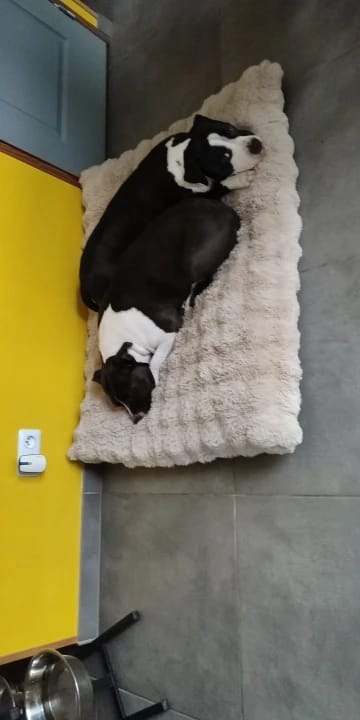 CloudRest customer review photo