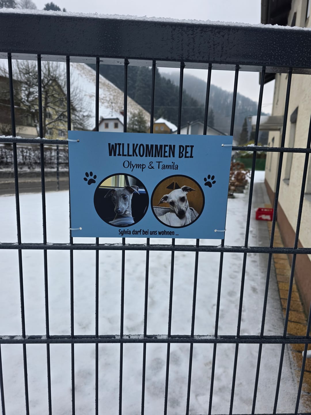 Customer photo review of Spähende Haustiere - Individuelles Türschild