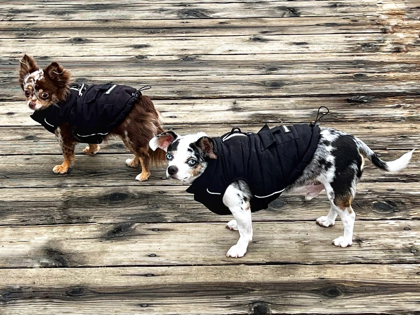 Customer photo review of WarmShield Water-Resistant Jackets