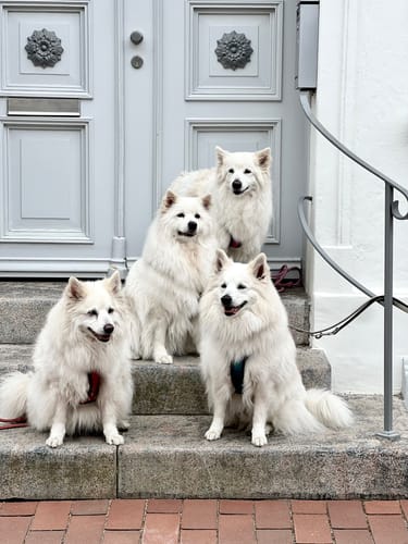 Customer photo review of Seelentröster - Individuelles Kissen