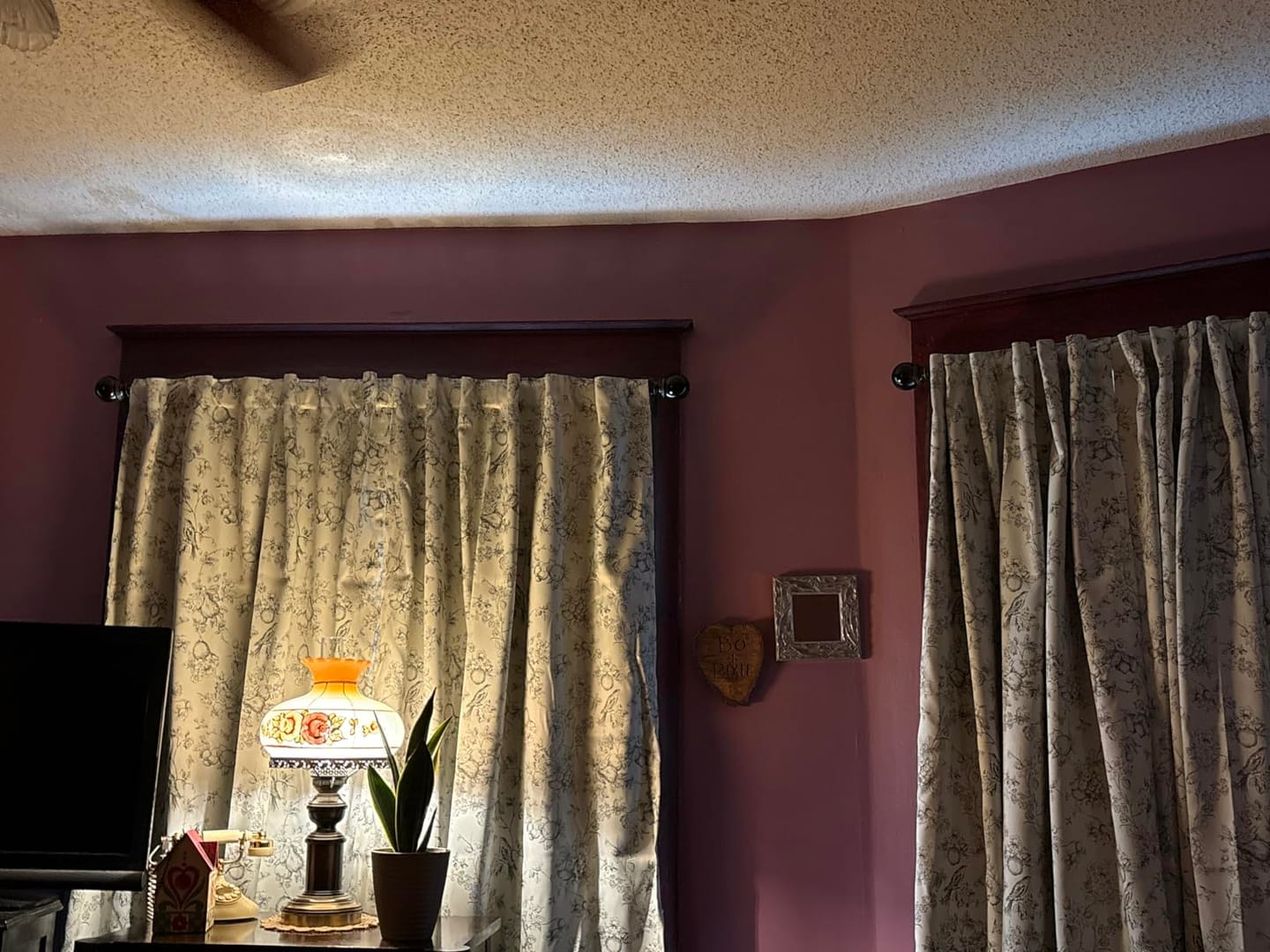 Customer photo review of Vintage Bird & Botanical Sketch Curtains