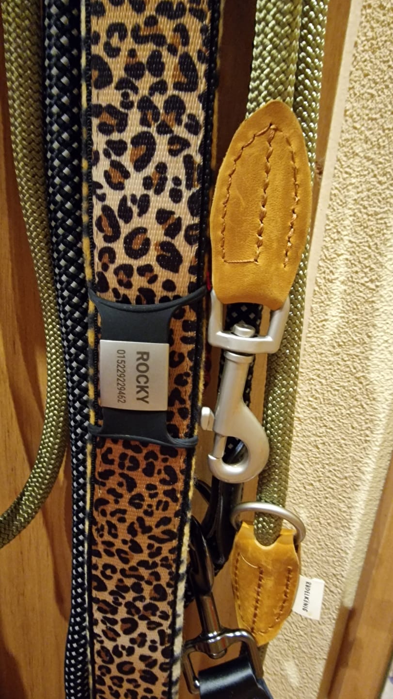 Customer photo review of Klapperfreie Hundemarke Silikonslider mit Edelstahl-Schild für Halsbänder inkl. GRATIS Gravur