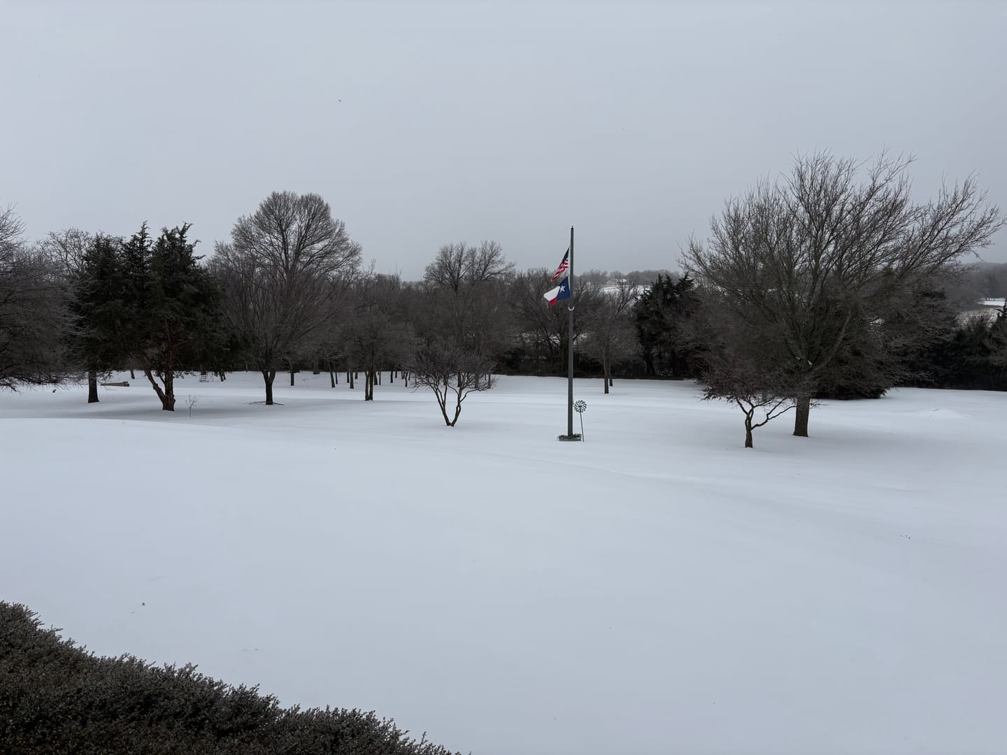 Customer photo review of 3' x 5' Texas Flag