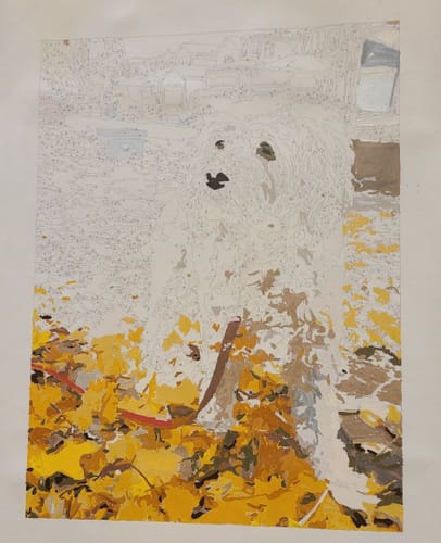 Customer photo review of Custom Pet Paint By Numbers