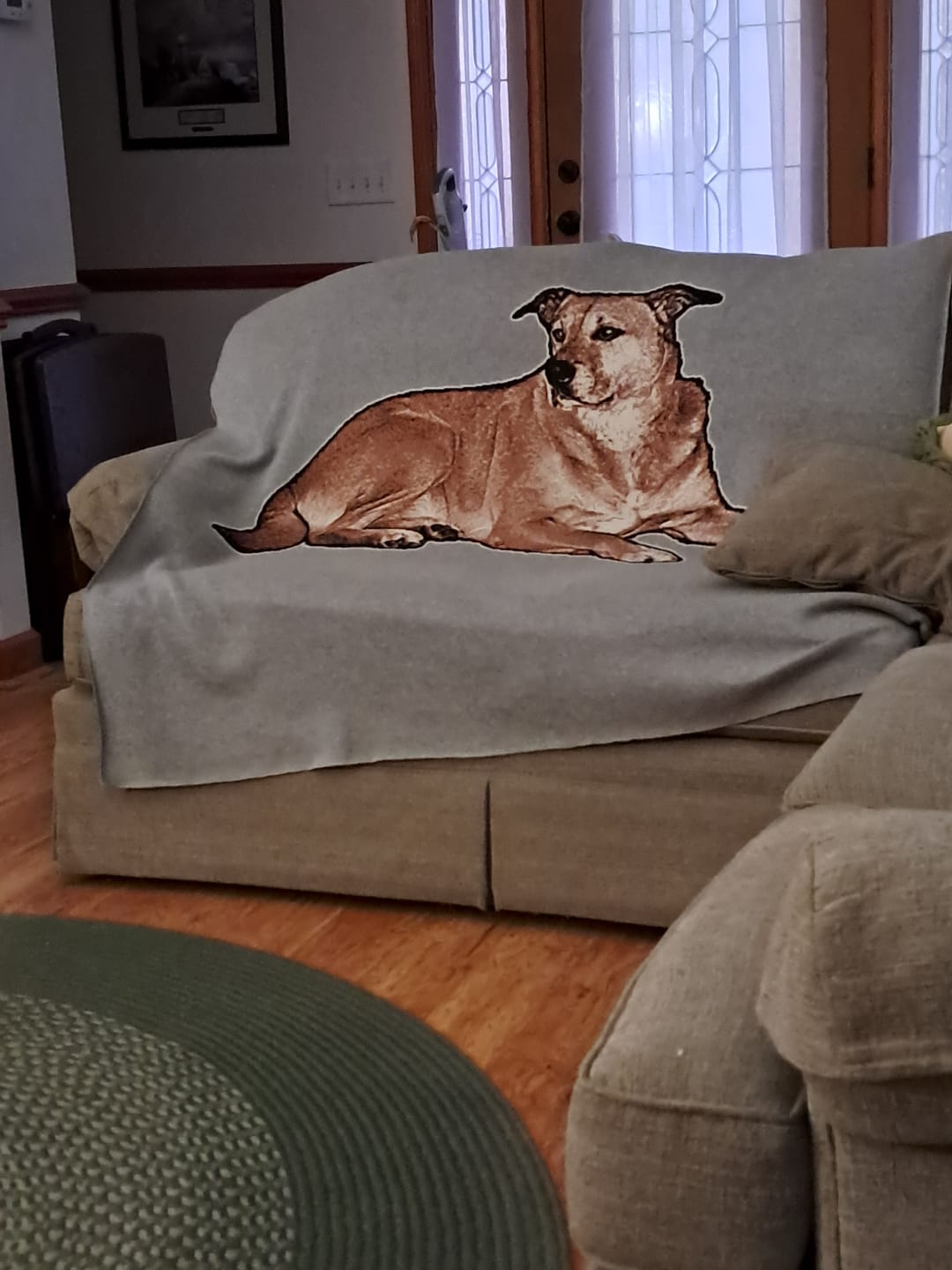 Customer photo review of Plain Dog - Custom Knitted Blanket