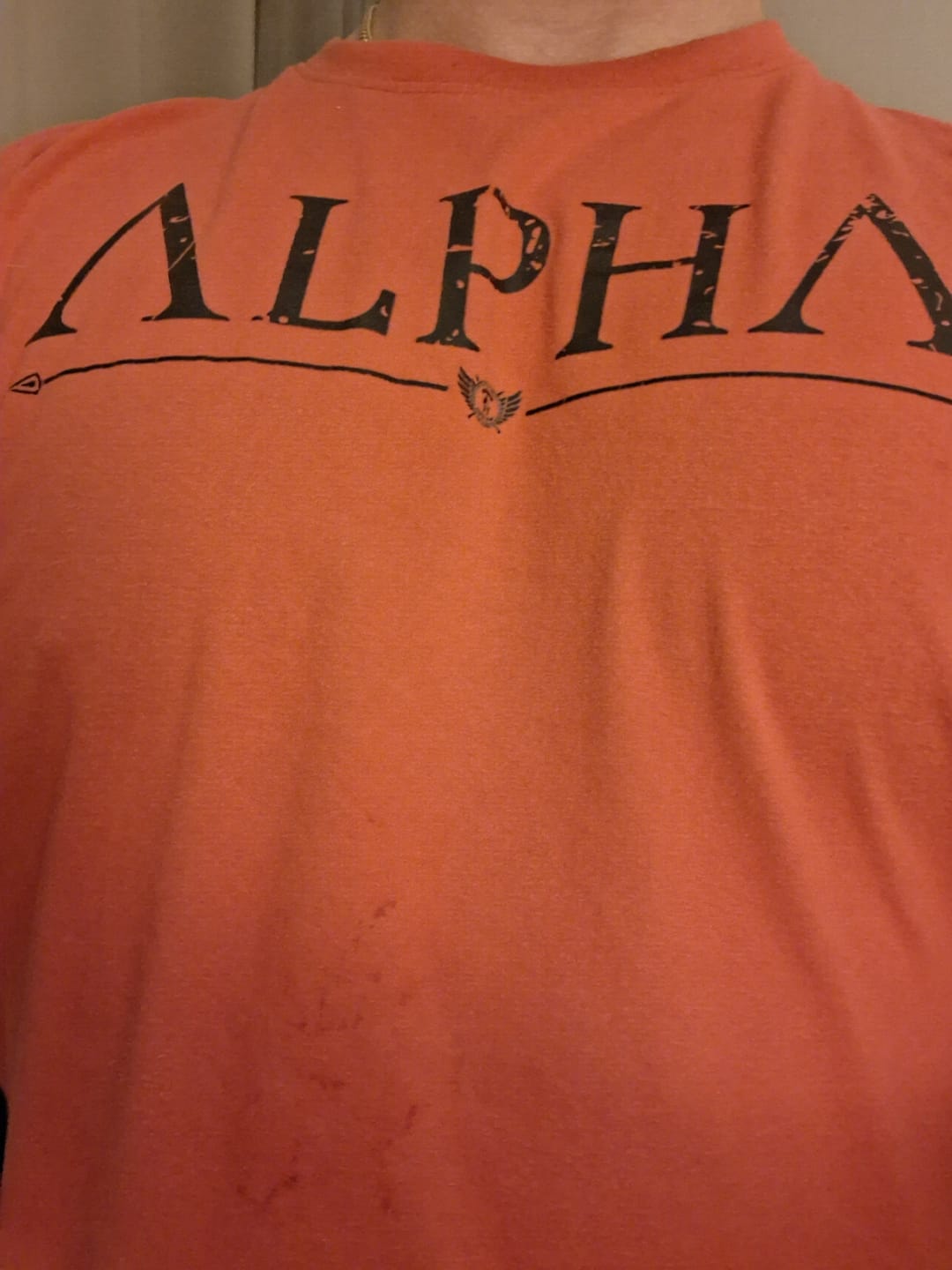 Customer photo review of Spartan Warrior T-Shirt