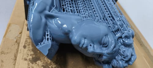 Customer photo review of Anycubic Photon Mono M7 Max