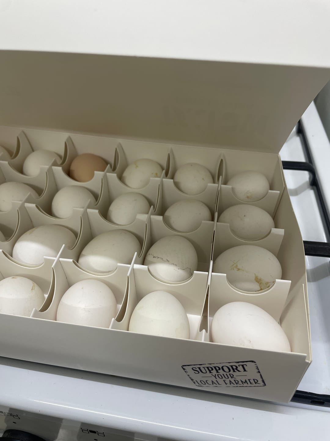 Customer photo review of Pasture raised Eggs 24pcs