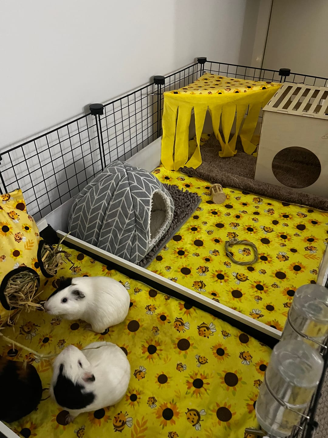 Customer photo review of Bee-utiful Sunflowers Fleece Liner for C&C Ozzy Cages