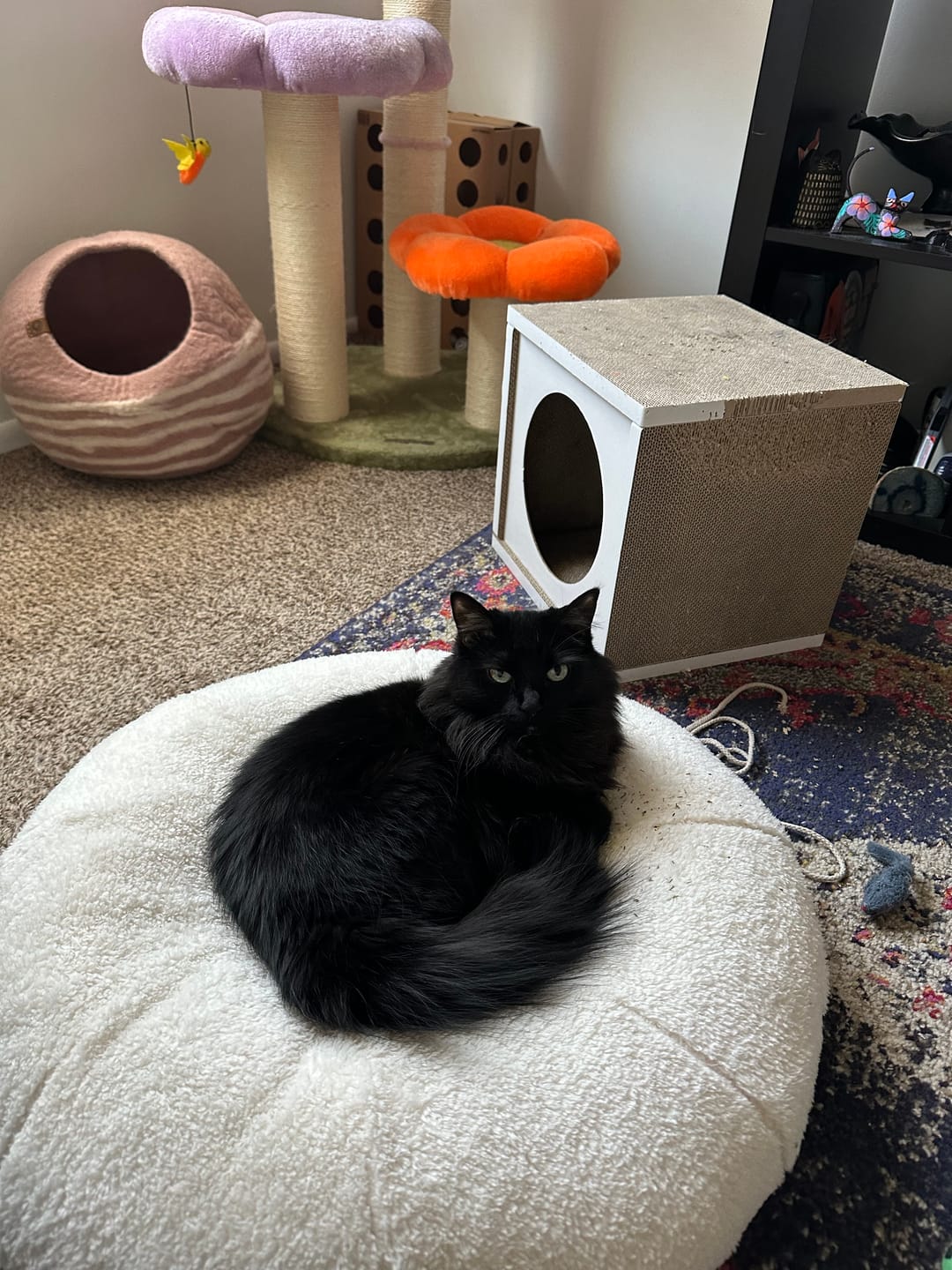 Customer photo review of Marshmallow Pudding Bed