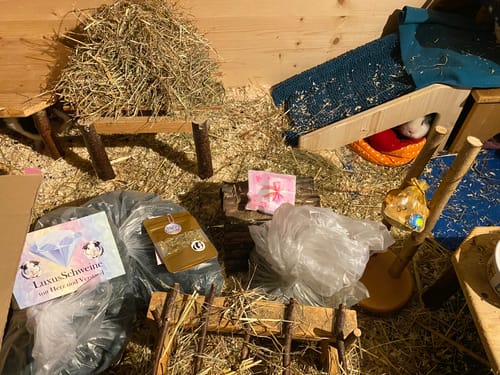 Customer photo review of 💦 Trinkstation für Meerschweinchen + Glasflasche