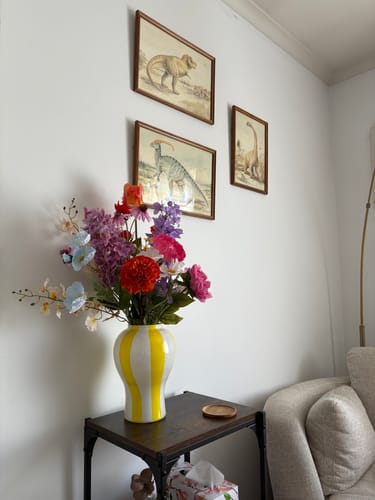 Customer photo review of Sonny