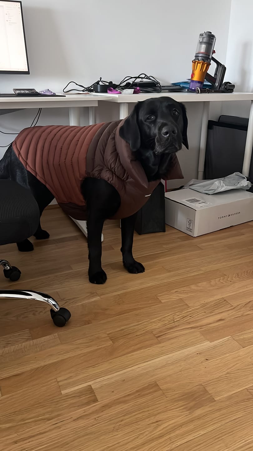 Customer photo review of PuffShield Winter Jacket - Brown