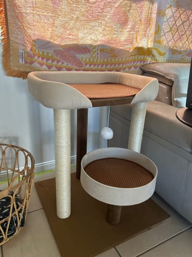 Customer photo review of Japanese-Style Double-Level Cat Tree Cat Sofa - 90901B, Perfect for Window-Side Lounging