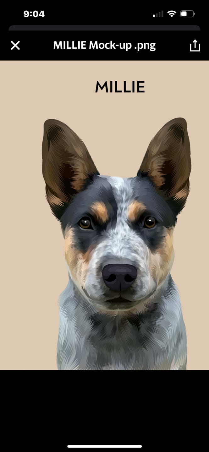 Customer photo review of 1 Pet