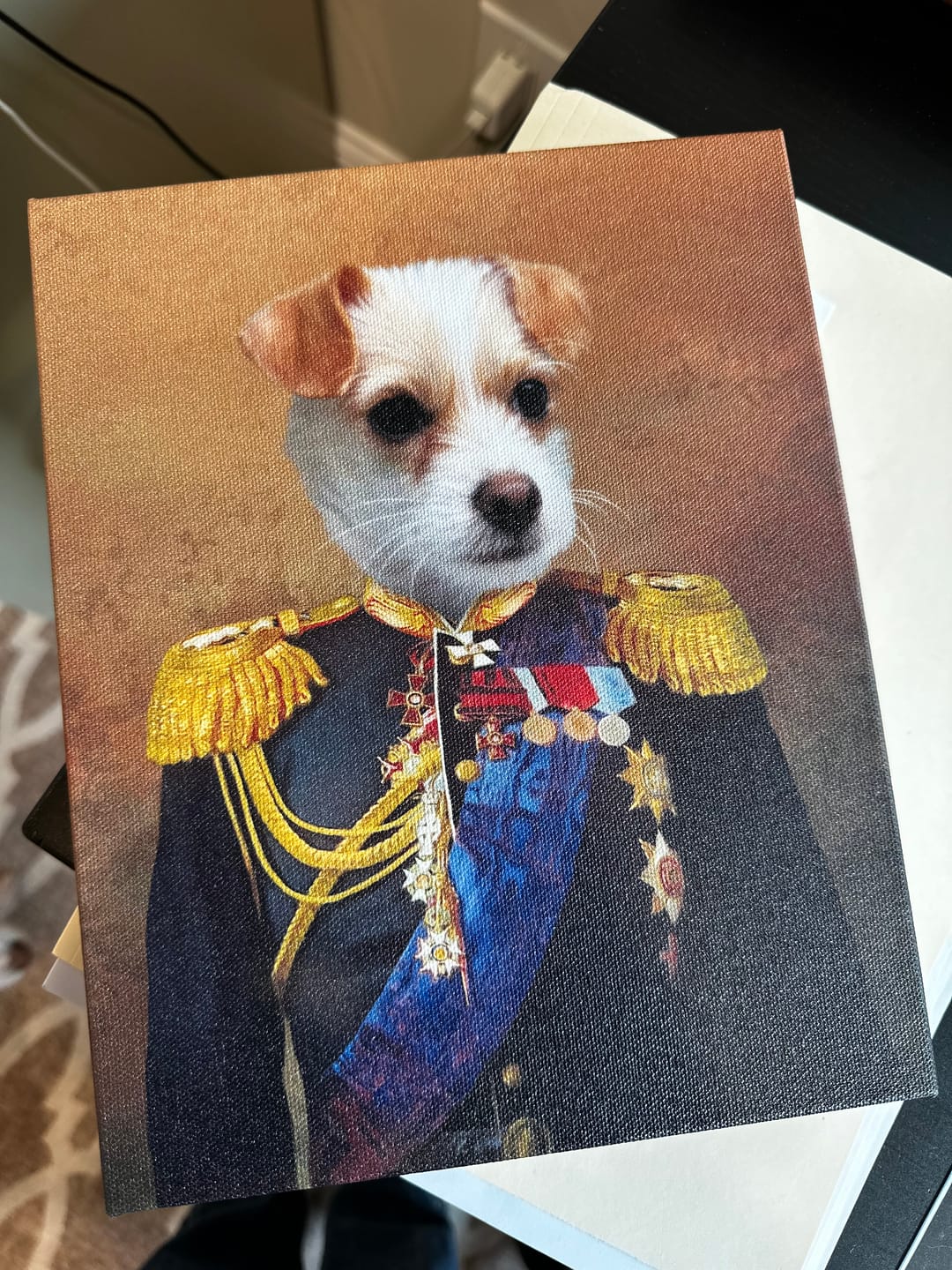 Customer photo review of The Seasoned Sergeant: Custom Pet Canvas