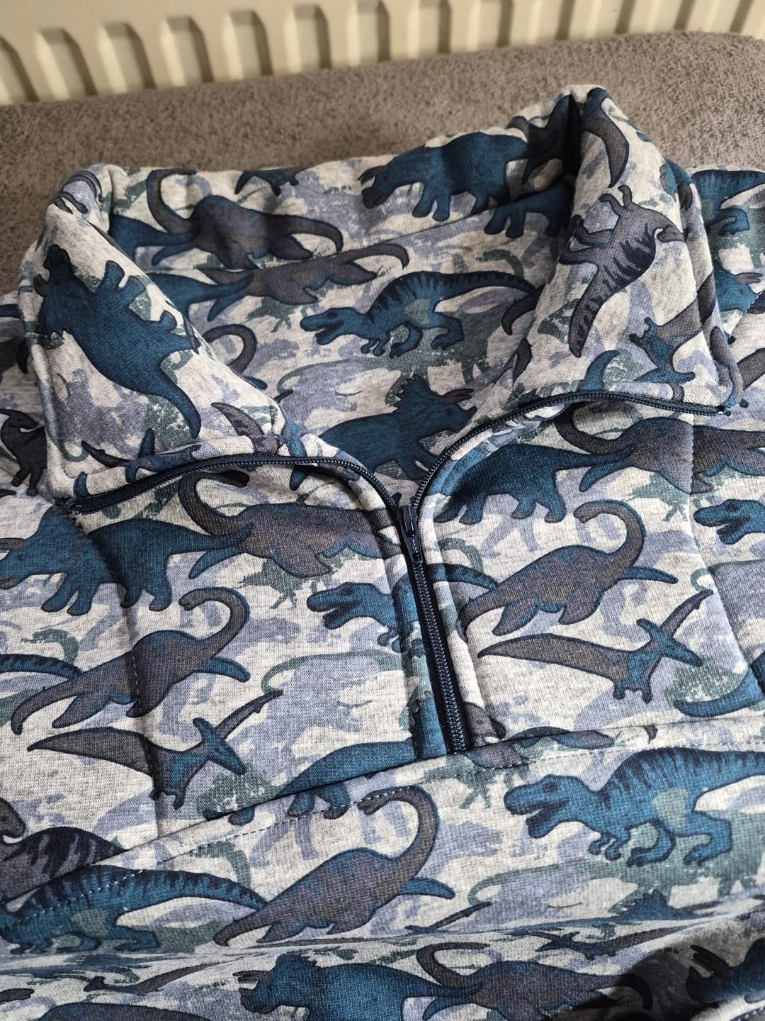 Customer photo review of Dinosaurs Sweatshirt Fabric