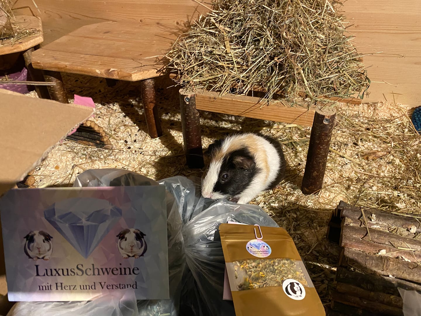 Customer photo review of 🍀 Glückskleeblätter – Natürlicher Knabber-Glücksbringer für deine Meerschweinchen