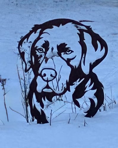 Customer photo review of Gartenstecker Berner Sennenhund Portrait