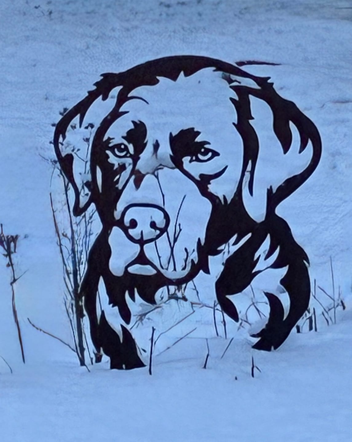 Customer photo review of Gartenstecker Berner Sennenhund Portrait